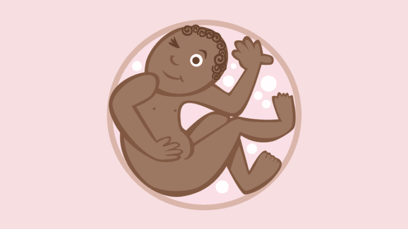 Pregnancy Calendar – Week 29