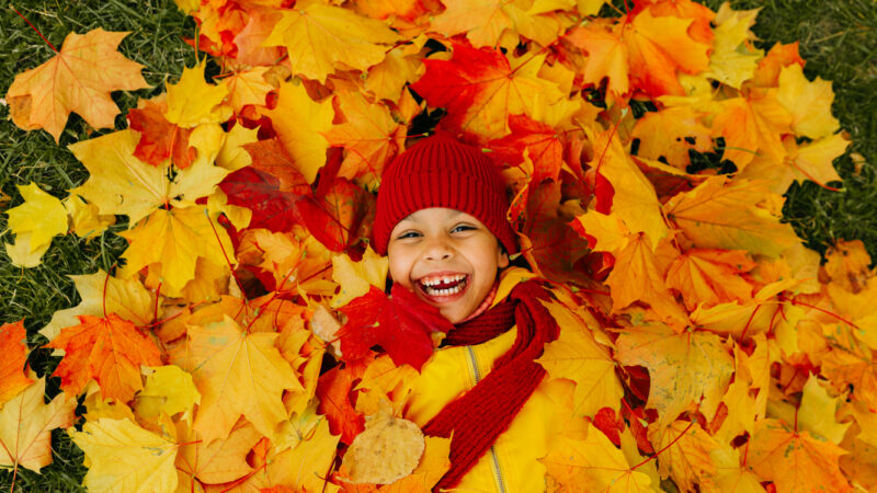 60 Fall Activities For Kids That Everyone Can Enjoy