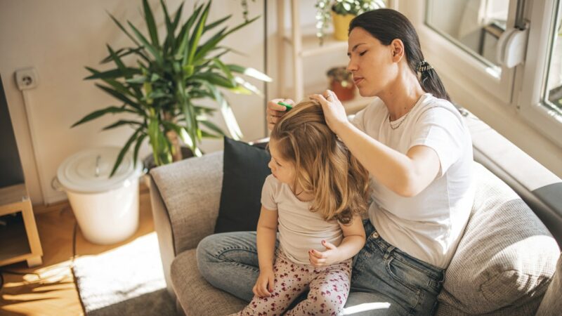 What To Do If Your Child Has Head Lice