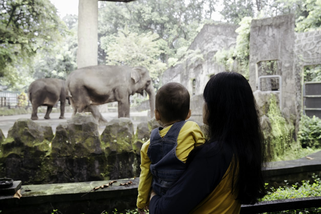 What Is the Elephant Mom Parenting Style?